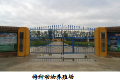 e0181309f9c645ae8cffeb3754c2dc0e.png