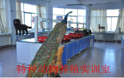 e317305ca5c1440eaf9efd122ee1720d.png