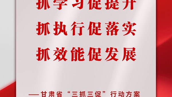 10張海報帶你讀懂“三抓三促”行動